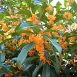 名古屋市東区の学習塾
補習塾 できるところまで戻って学習 少人数個別指導塾