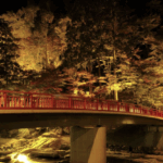 紅葉 テレビ放映紅葉狩り 冬景色 寒さ対策