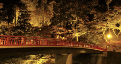 紅葉　　テレビ放映 紅葉狩り　 冬景色　寒さ対策