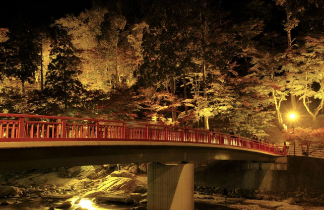 紅葉　　テレビ放映 紅葉狩り　 冬景色　寒さ対策