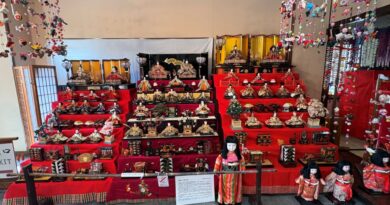 清須城　女の子の日　継続学習　年度替わり　総復習　基本を押さえる　応用力