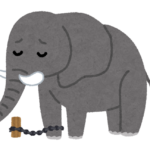 限界をはずす やればできる マインドセット 春期講習 春の学習 総復習